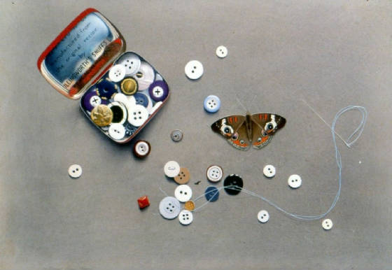 buttonsbutterflies2.jpgweb.jpg